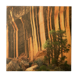 USA, Utah, Capitol Reef National Park Fliese
