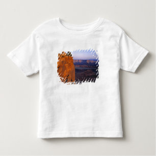 USA, Utah, Dead Horse Point SP. Late Lichtdrehunge Kleinkind T-shirt