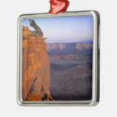 USA, Utah, Dead Horse Point SP. Late Lichtdrehunge Silbernes Ornament (Links)