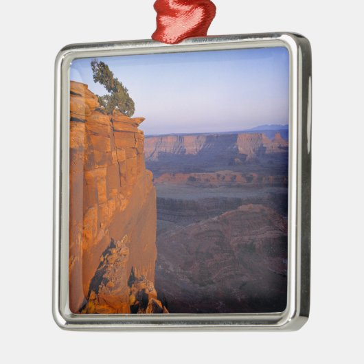 USA, Utah, Dead Horse Point SP. Late Lichtdrehunge Silbernes Ornament (Links)
