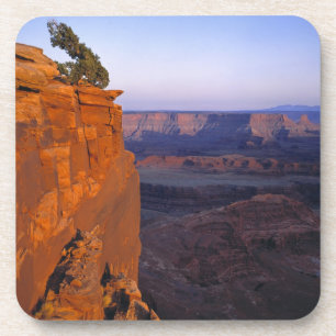 USA, Utah, Dead Horse Point SP. Spätes Licht färbt Getränkeuntersetzer