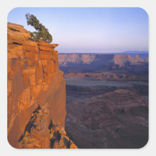 USA, Utah, Dead Horse Point SP. Spätes Licht färbt Quadratischer Aufkleber