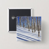 USA, Utah, Dixie National Forest, Aspen Grove Button (Vorne & Hinten)