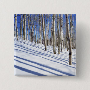 USA, Utah, Dixie National Forest, Aspen Grove Button