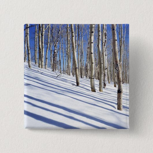 USA, Utah, Dixie National Forest, Aspen Grove Button (Vorderseite)