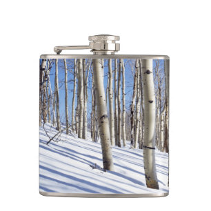 USA, Utah, Dixie National Forest, Aspen Grove Flachmann