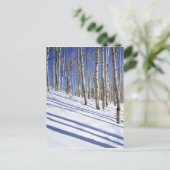 USA, Utah, Dixie National Forest, Aspen Grove Postkarte (Stehend Vorderseite)