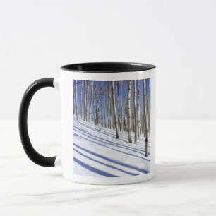 USA, Utah, Dixie National Forest, Aspen Grove Tasse