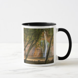 USA, Utah, Escalante Wilderness. Aussicht Tasse