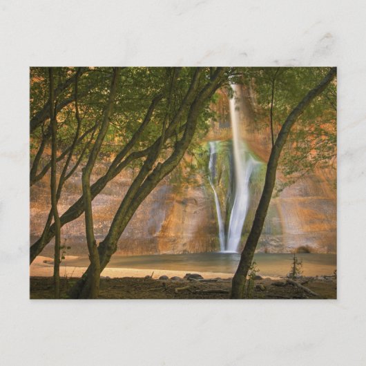 USA, Utah, Escalante Wilderness. Die Aussicht Postkarte (Vorderseite)