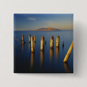 USA, Utah, Great Basin, Saltair, Great Salt Button