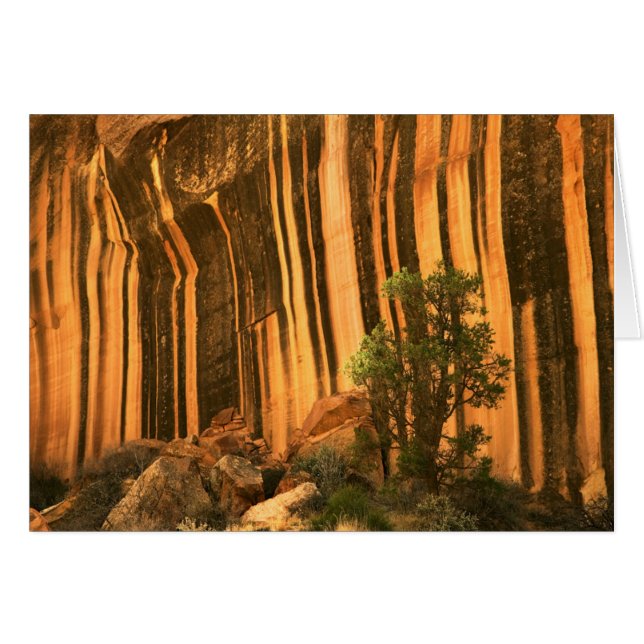USA, Utah, Hauptstadt Reef National Park (Vorderseite (Horizontal))