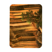 USA, Utah, Hauptstadt Reef National Park Magnet (Vertikal)