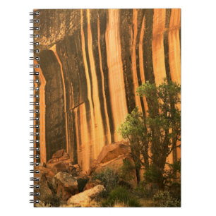 USA, Utah, Hauptstadt Reef National Park Notizblock