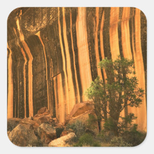 USA, Utah, Hauptstadt Reef National Park Quadratischer Aufkleber