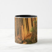 USA, Utah, Hauptstadt Reef National Park Tasse (Zentrum)