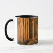 USA, Utah, Hauptstadt Reef National Park Tasse (Links)