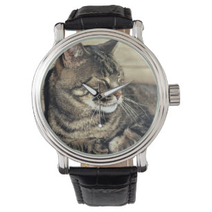 USA, Utah, Hauptstadt Reef NP. Schlaftabellatze Armbanduhr