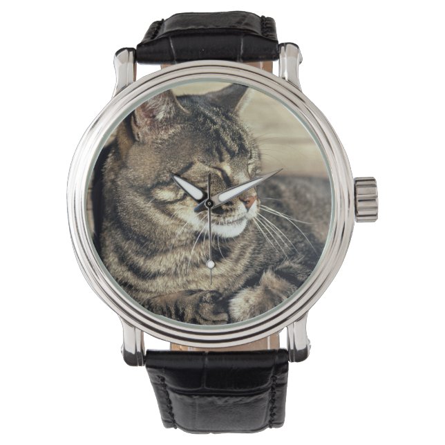 USA, Utah, Hauptstadt Reef NP. Schlaftabellatze Armbanduhr (Vorderseite)