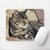 USA, Utah, Hauptstadt Reef NP. Schlaftabellatze Mousepad (Mit Mouse)