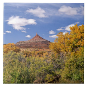 USA, Utah, in der Nähe des Canyonlands National P Fliese