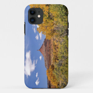 USA, Utah, in der Nähe des Canyonlands National Pa iPhone 11 Hülle