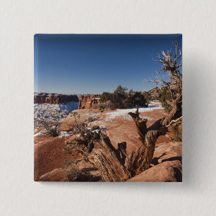USA, Utah, Moab. Canyonlands National Park, Button
