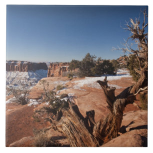 USA, Utah, Moab. Canyonlands-Nationalpark, Fliese