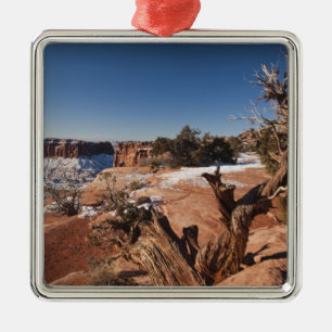 USA, Utah, Moab. Canyonlands-Nationalpark, Silbernes Ornament