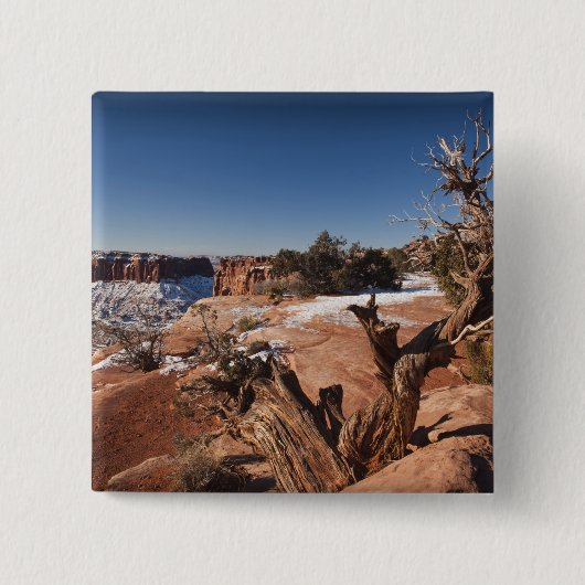 USA, Utah, Moab. Nationalpark Canyonlands, Button (Vorderseite)