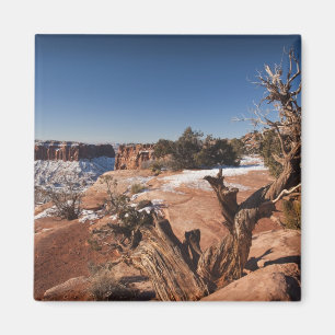 USA, Utah, Moab. Nationalpark Canyonlands, Magnet