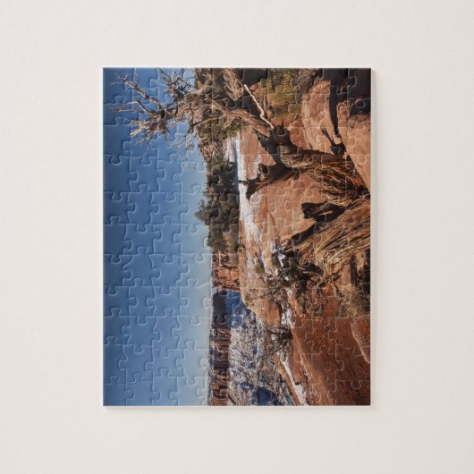 USA, Utah, Moab. Nationalpark Canyonlands, Puzzle (Vertikal)