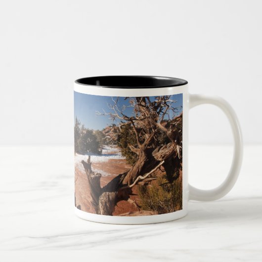 USA, Utah, Moab. Nationalpark Canyonlands, Zweifarbige Tasse (Rechts)