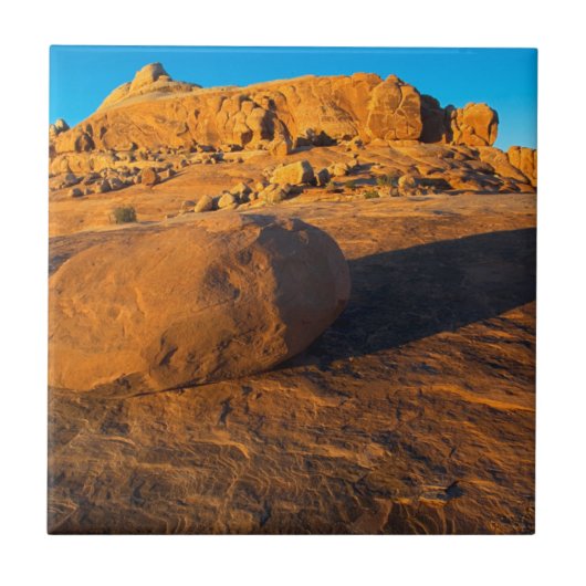 USA, Utah, Moab, Sandstein Fliese (Vorderseite)
