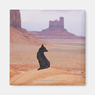 USA, Utah, Monument Valley, Hund sitzend auf Felse Magnet