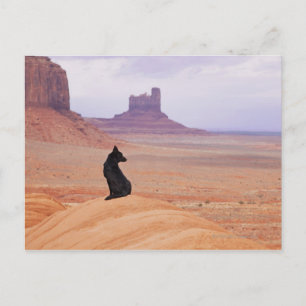 USA, Utah, Monument Valley, Hund sitzend auf Felse Postkarte