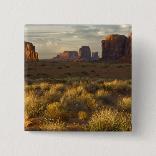 USA, Utah, Monument Valley National Park. Button (Vorderseite)