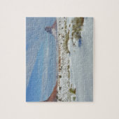 USA, Utah, Monument Valley. Sagebrush Puzzle (Vertikal)