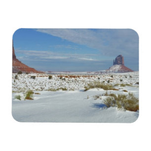 USA, Utah, Monument Valley. Sagebrush-Shows Magnet