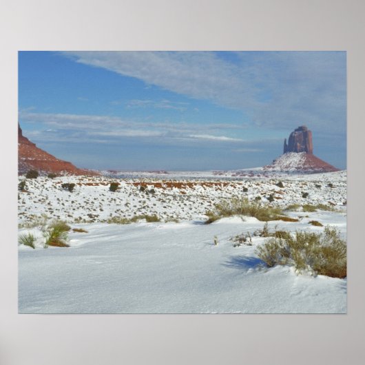 USA, Utah, Monument Valley. Sagebrush-Shows Poster (Vorne)