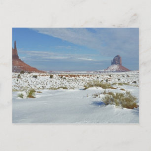 USA, Utah, Monument Valley. Sagebrush-Shows Postkarte