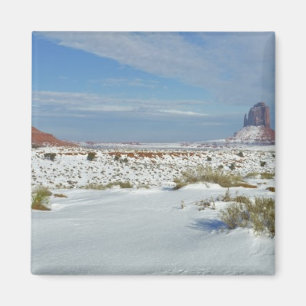 USA, Utah, Monument Valley. Salbei zeigt sich Magnet