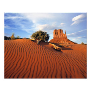 USA, Utah, Monument Valley. Wind erstellt Fotodruck