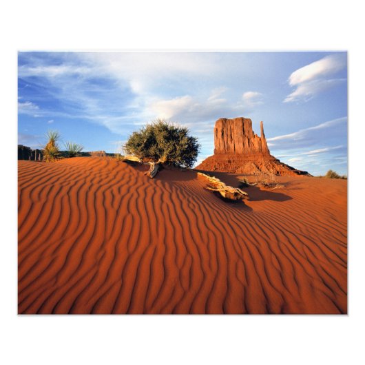 USA, Utah, Monument Valley. Wind erstellt Fotodruck (Vorne)