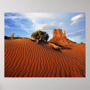 USA, Utah, Monument Valley. Wind erzeugt Poster