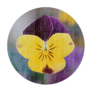 USA, Utah, Nah Up of Viola tricolor in garden Schneidebrett