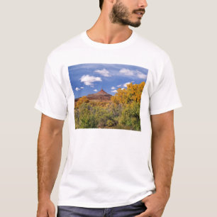 USA, Utah, nahe dem Canyonlands National Park auf T-Shirt