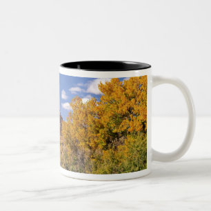 USA, Utah, nahe dem Canyonlands National Park auf Zweifarbige Tasse