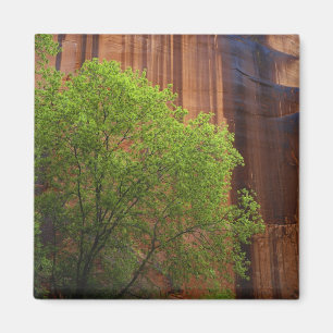 USA, Utah, Paria Canyon- Vermillion Cliffs Magnet