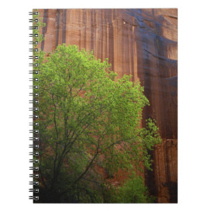 USA, Utah, Paria Canyon- Vermillion Cliffs Notizblock